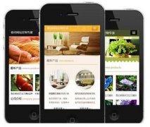 手機(jī)網(wǎng)站怎樣做才更有效果？如何做優(yōu)化？