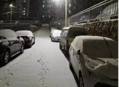 青島！大雪！大愛！