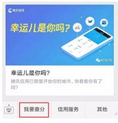 騰訊信用分全國公測，查了一下之后懵逼了。。