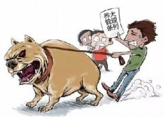 青島10月份一大波勁爆消息，你知道嗎？