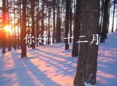 抓住2016年的尾巴給自己充充電！12月，加油！
